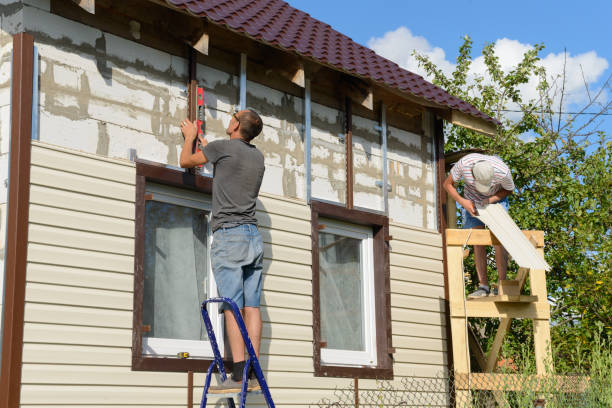 Best Brick Veneer Siding  in Nokomis, IL