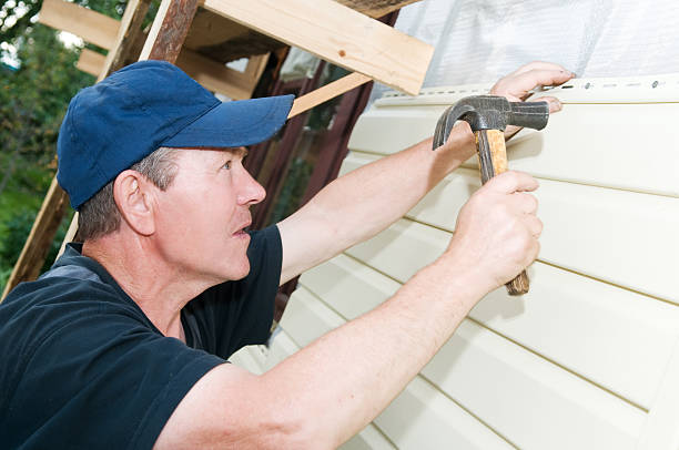 Best Weatherproofing and Sealing  in Nokomis, IL